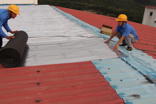 宝绿榕与您探讨 建筑工程中屋顶防水工程的关键施工要点